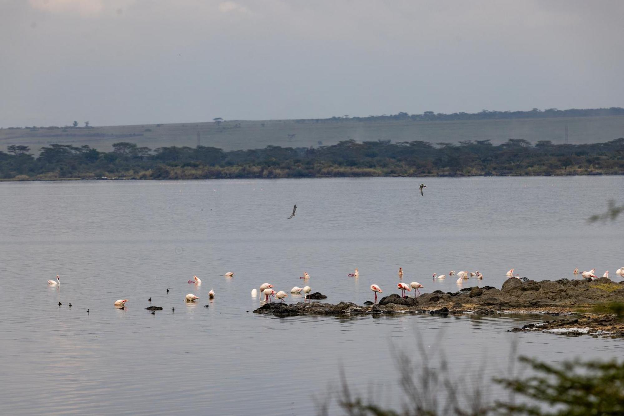 Sentrim Elementaita Lodge Elmenteita Екстер'єр фото