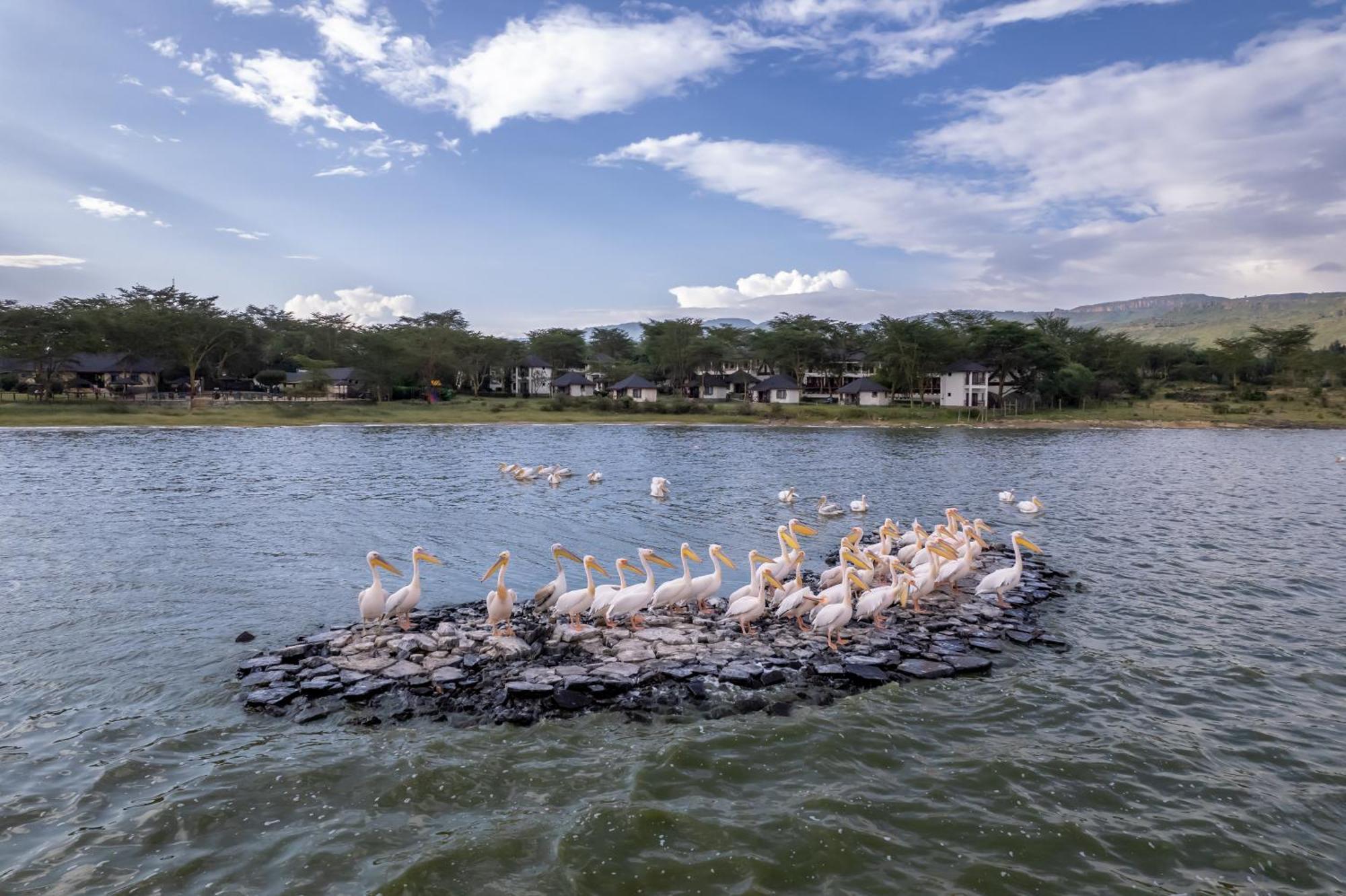Sentrim Elementaita Lodge Elmenteita Екстер'єр фото